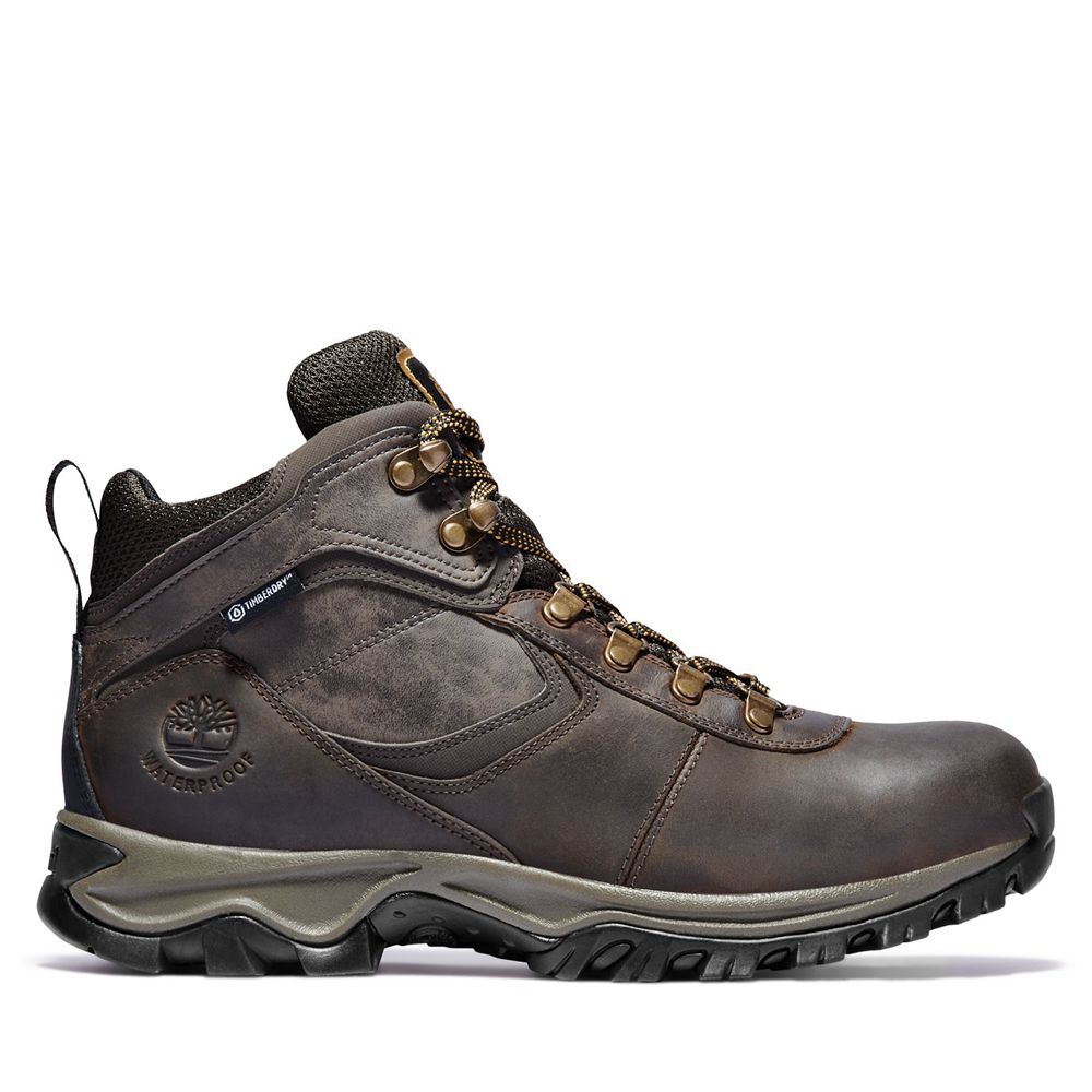 Timberland Mens Hiking Boots Mt. Maddsen Mid Waterproof - Dark Brown - India TZ1649758